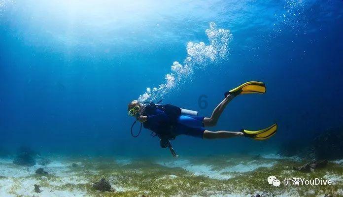 近日可以去千岛湖旅游吗?知识星球平台,深入探索专业领域