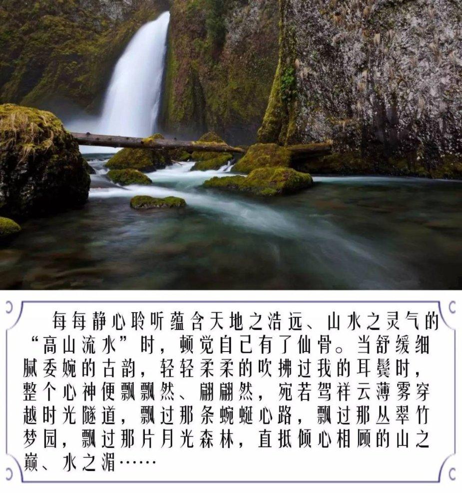 格斗巅峰大作战1.1