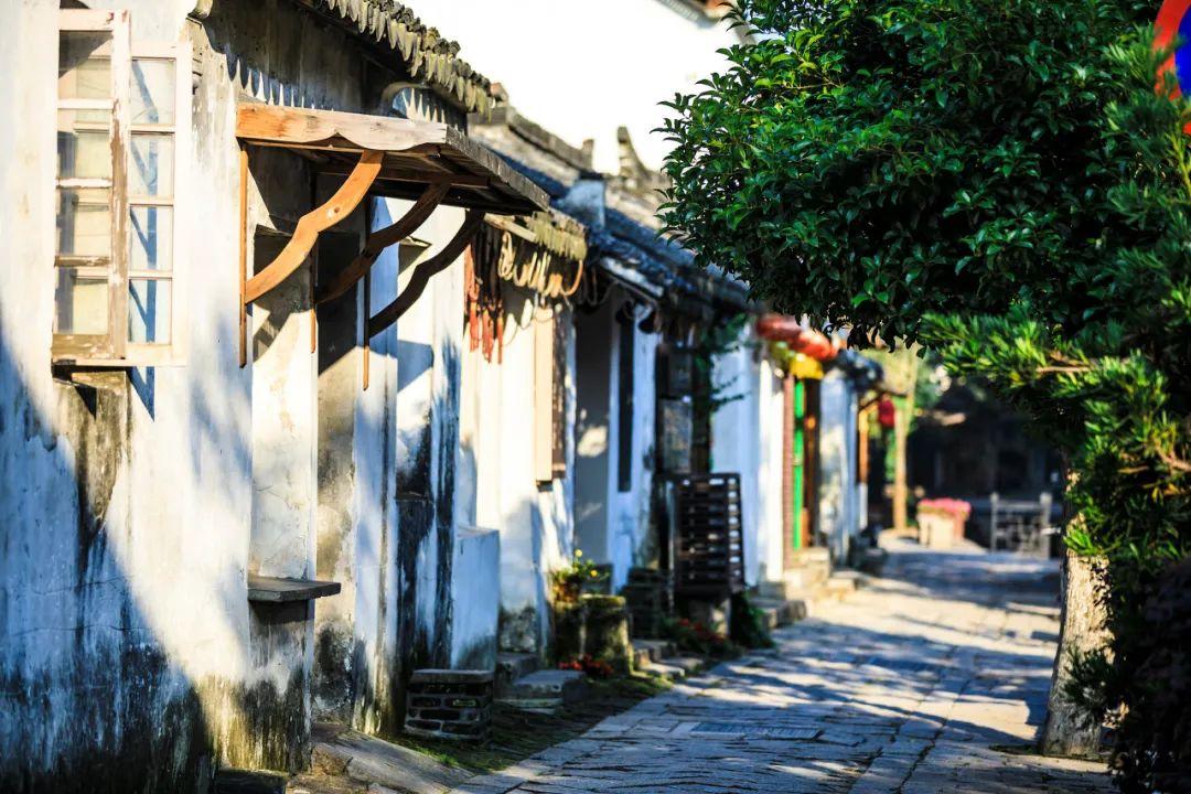 探索以公司名义买车的利弊有哪些?需要注意哪些方面?的全新红迪网平台